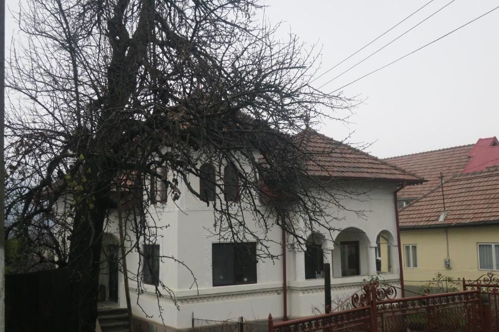 Гостевой дом Surasul Muntelui Dragoslavele