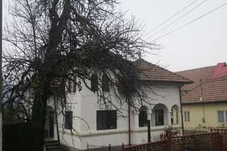 Гостевой дом Surasul Muntelui Dragoslavele Дом с 2 спальнями-1